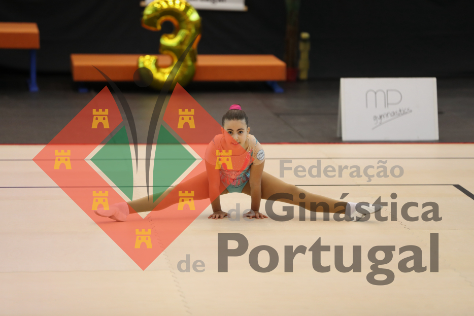 1001_Taça de Portugal AER